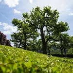 Hisa Na Hribu- A Peaceful Hilltop Escape Above River Kolpa Apartment *