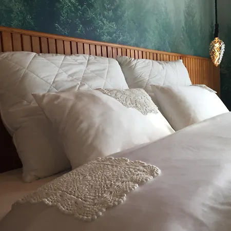 Hisa Na Hribu-apartments & Above River Kolpa Kostel