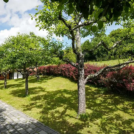 Apartamento Hisa Na Hribu- A Peaceful Hilltop Escape Above River Kolpa *