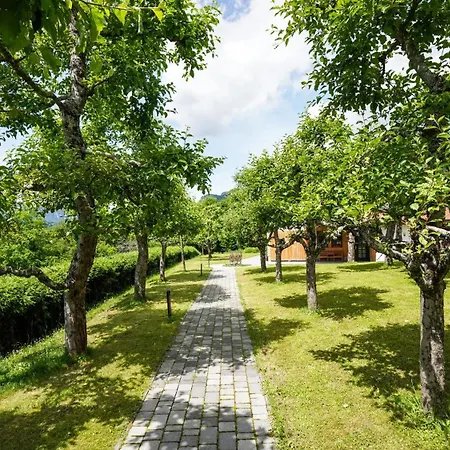 Apartamento Hisa Na Hribu- A Peaceful Hilltop Escape Above River Kolpa *