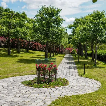 Hisa Na Hribu- A Peaceful Hilltop Escape Above River Kolpa