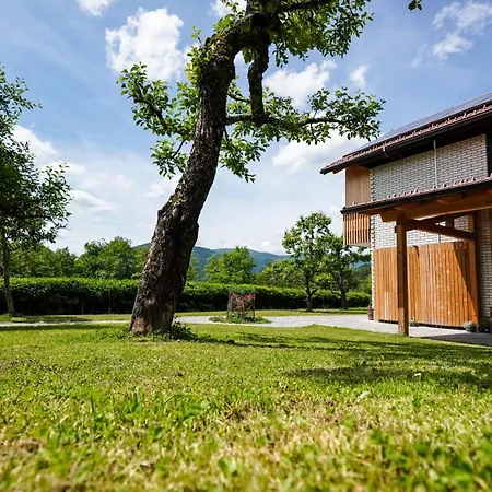 Апартаменты Hisa Na Hribu-apartments & Above River Kolpa Kostel