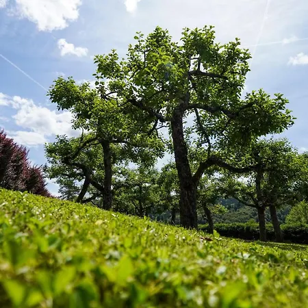 Hisa Na Hribu- A Peaceful Hilltop Escape Above River Kolpa Apartamento *