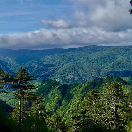 Hisa Na Hribu- A Peaceful Hilltop Escape Above River Kolpa Apartman *