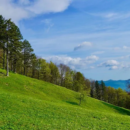 Hisa Na Hribu- A Peaceful Hilltop Escape Above River Kolpa Appartement *