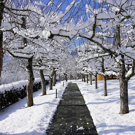 Apartman Hisa Na Hribu- A Peaceful Hilltop Escape Above River Kolpa