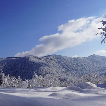 Hisa Na Hribu- A Peaceful Hilltop Escape Above River Kolpa
