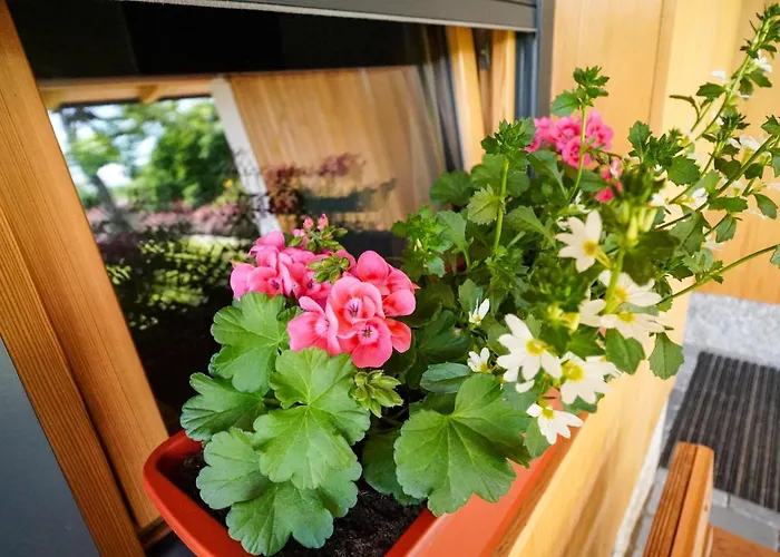 Hisa Na Hribu- A Peaceful Hilltop Escape Above River Kolpa *