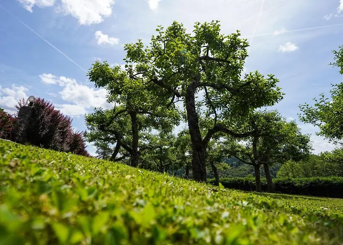 Hisa Na Hribu- A Peaceful Hilltop Escape Above River Kolpa شقة *