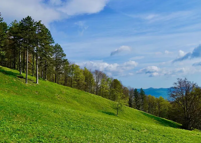 Hisa Na Hribu- A Peaceful Hilltop Escape Above River Kolpa شقة *