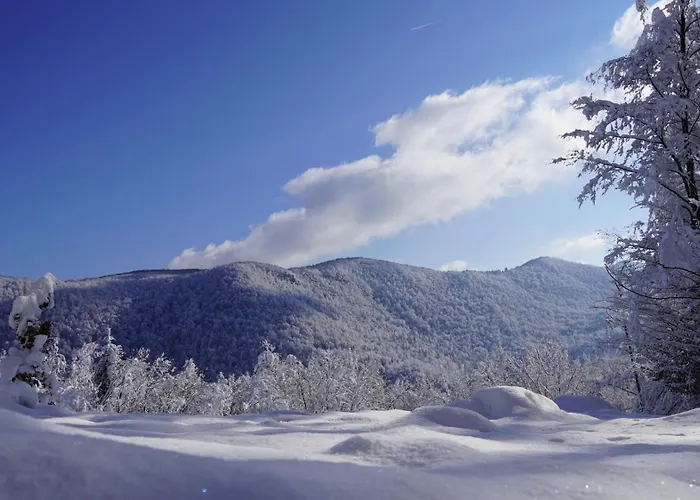 Hisa Na Hribu- A Peaceful Hilltop Escape Above River Kolpa